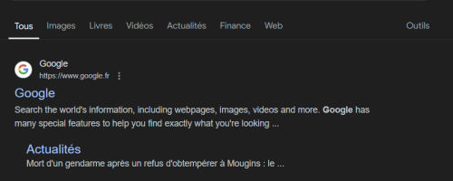 SERP Google SERP Google